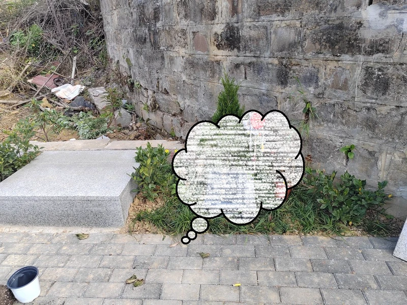 thumb_IMG_20240327_101905